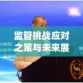 监管挑战应对之策与未来展望