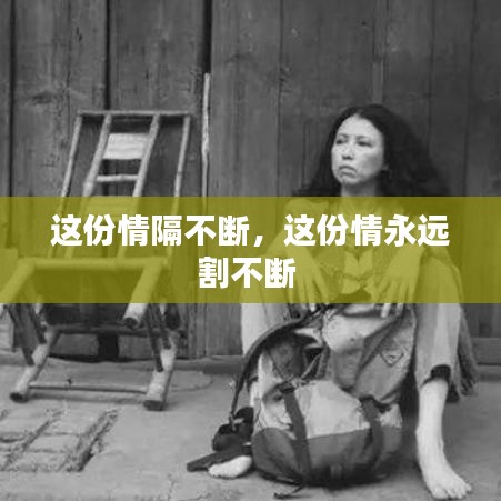这份情隔不断，这份情永远割不断