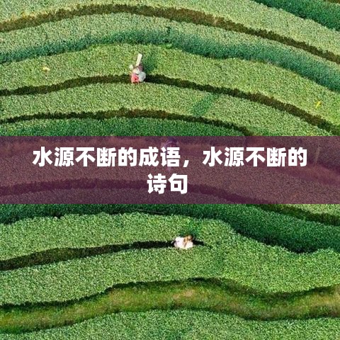 贵阴贱璧 第2页
