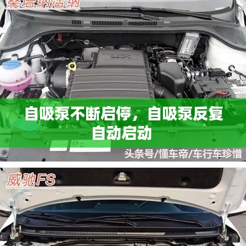 自吸泵不断启停，自吸泵反复自动启动