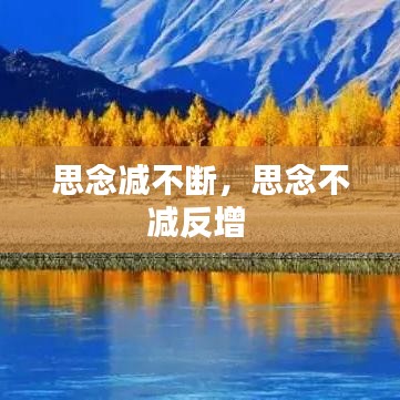 思念减不断，思念不减反增