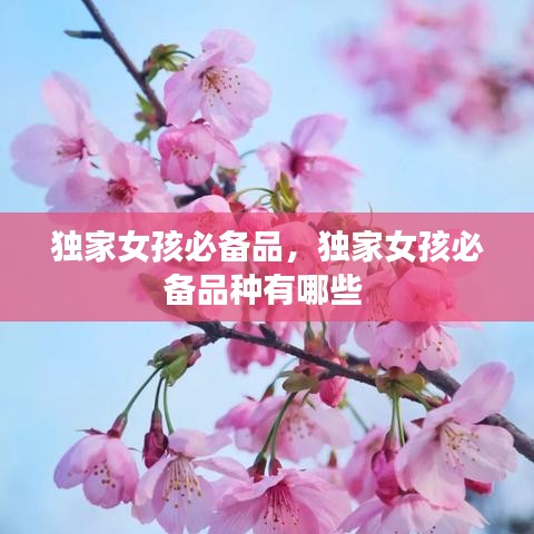 独家女孩必备品，独家女孩必备品种有哪些