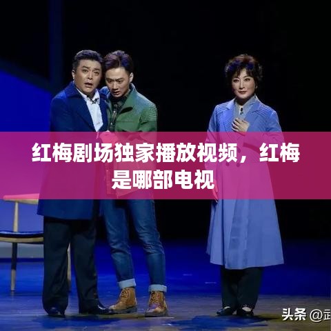 红梅剧场独家播放视频，红梅是哪部电视