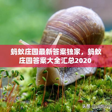 蚂蚁庄园最新答案独家，蚂蚁庄园答案大全汇总2020