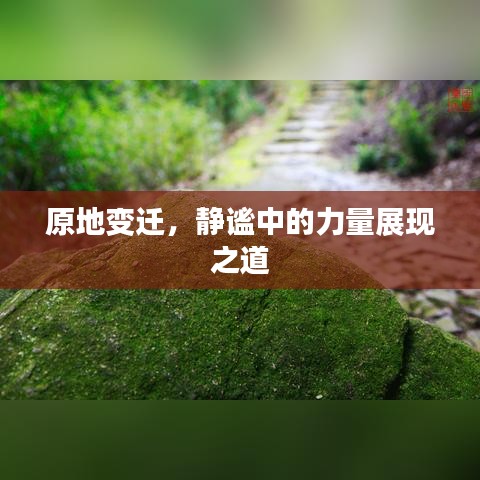 原地变迁，静谧中的力量展现之道