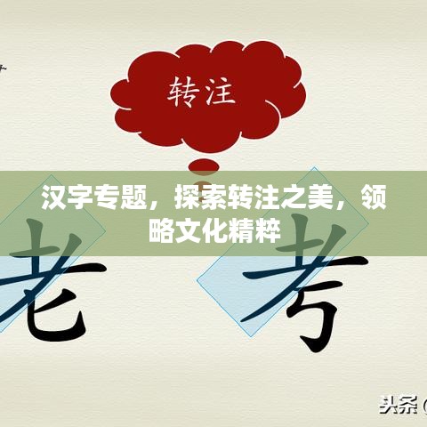 汉字专题，探索转注之美，领略文化精粹