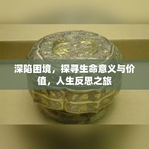 深陷困境，探寻生命意义与价值，人生反思之旅
