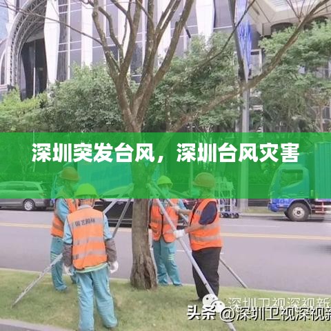 蛙鸣鼓吹 第2页
