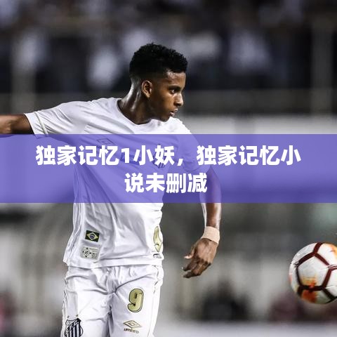独家记忆1小妖，独家记忆小说未删减
