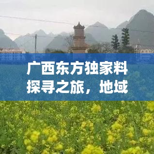 广西东方独家料探寻之旅，地域魅力与文化底蕴揭秘