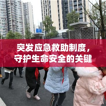 突发应急救助制度，守护生命安全的关键环节
