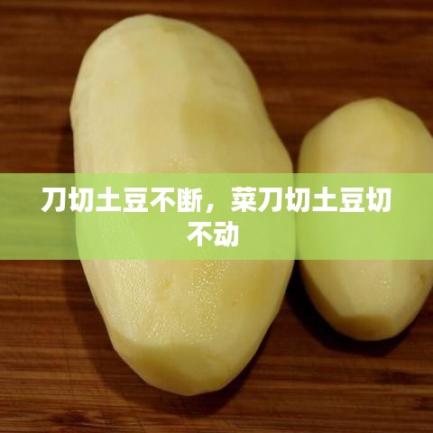 物以希为贵 第2页