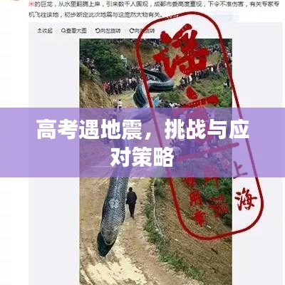 高考遇地震，挑战与应对策略