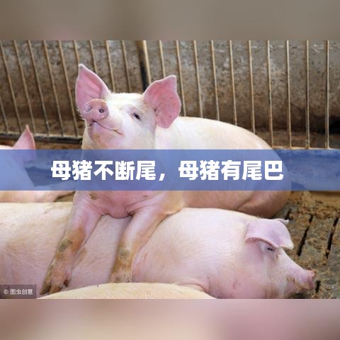 半截鸟木 第2页