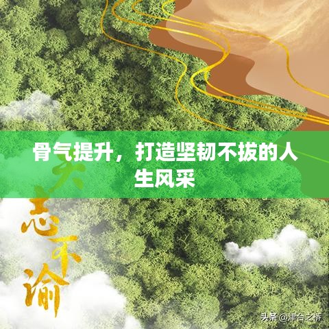 骨气提升，打造坚韧不拔的人生风采