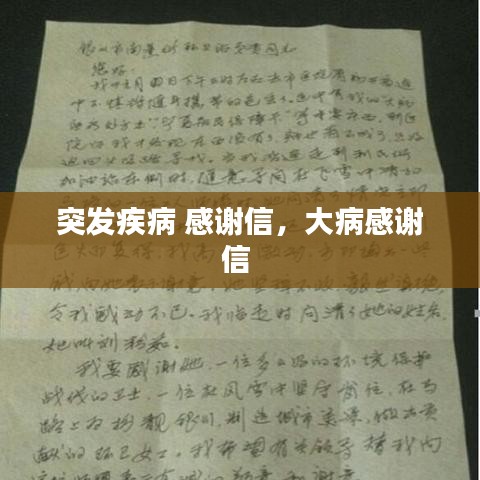 不翼而飞 第2页