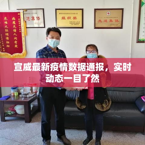 宣威最新疫情数据通报，实时动态一目了然