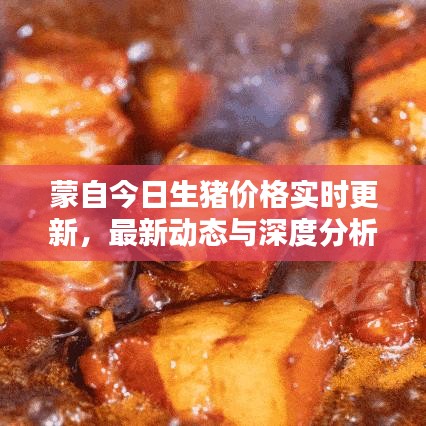 蒙自今日生猪价格实时更新，最新动态与深度分析