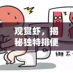 观赏虾，揭秘独特排便魅力的秘密