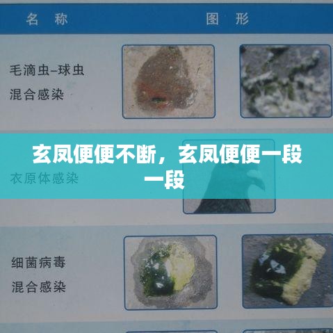 玄凤便便不断，玄凤便便一段一段 