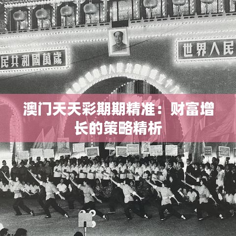 澳门天天彩期期精准：财富增长的策略精析