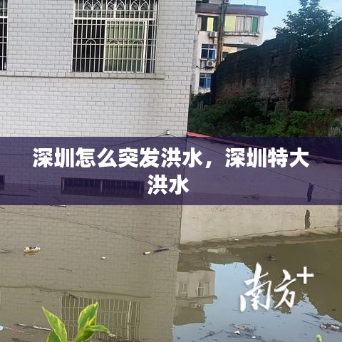 勃然大怒 第2页