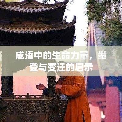 成语中的生命力量，攀登与变迁的启示