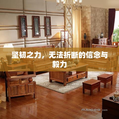 坚韧之力，无法折断的信念与毅力
