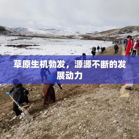 草原生机勃发，源源不断的发展动力