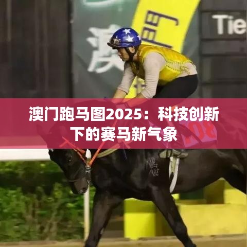 澳门跑马图2025：科技创新下的赛马新气象
