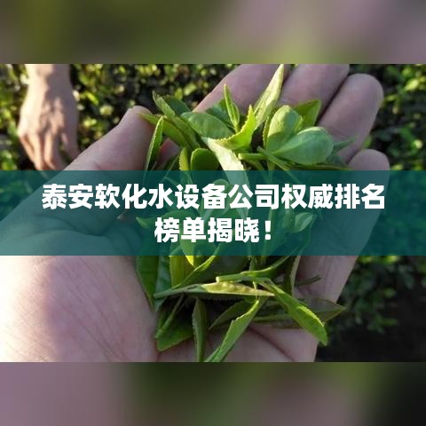 泰安软化水设备公司权威排名榜单揭晓！