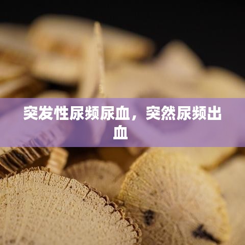 突发性尿频尿血，突然尿频出血 