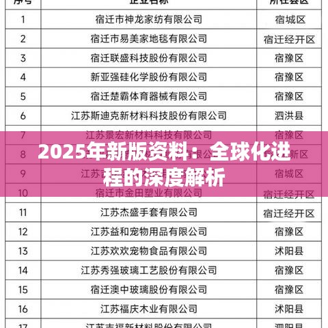2025年新版资料：全球化进程的深度解析