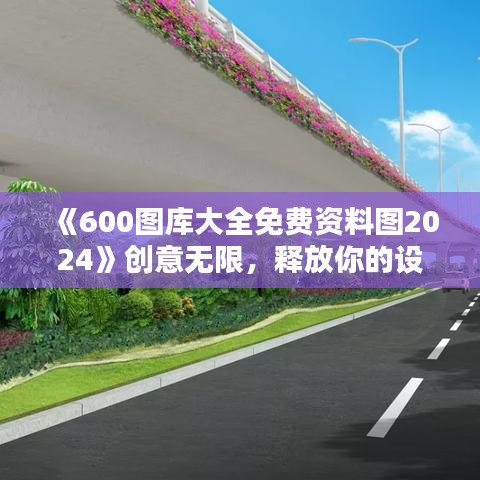 《600图库大全免费资料图2024》创意无限，释放你的设计潜能