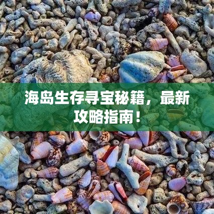 海岛生存寻宝秘籍，最新攻略指南！