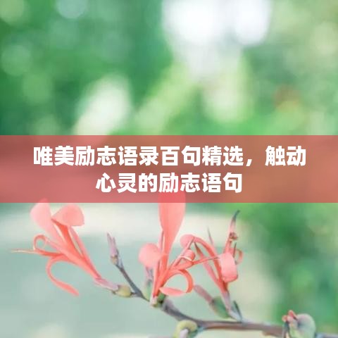 唯美励志语录百句精选，触动心灵的励志语句