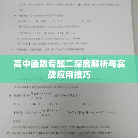 高中函数专题二深度解析与实战应用技巧