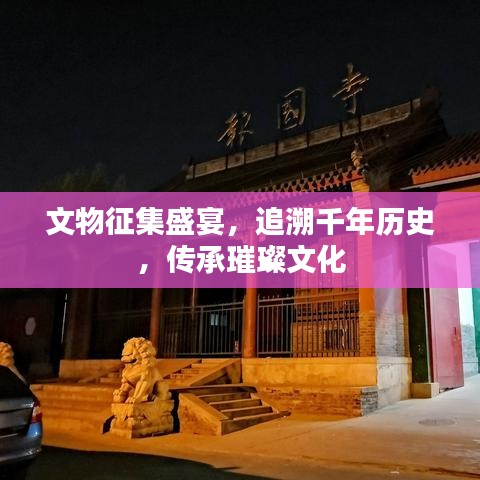 文物征集盛宴，追溯千年历史，传承璀璨文化