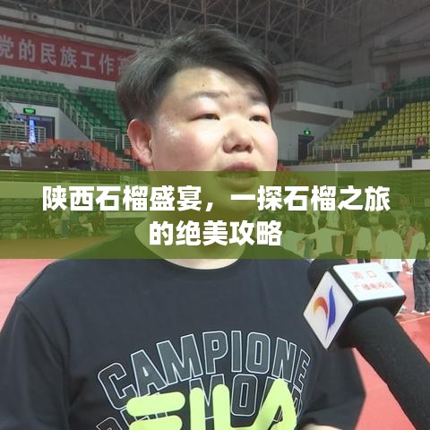 陕西石榴盛宴，一探石榴之旅的绝美攻略