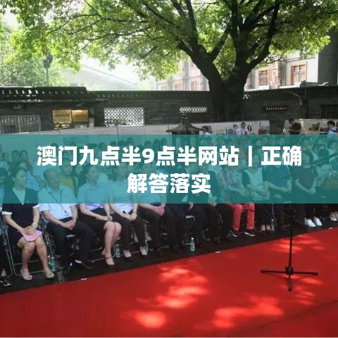 澳门九点半9点半网站｜正确解答落实