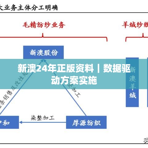新澳24年正版资料｜数据驱动方案实施