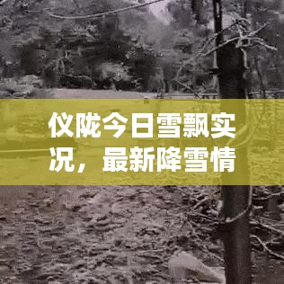 仪陇今日雪飘实况，最新降雪情况一览