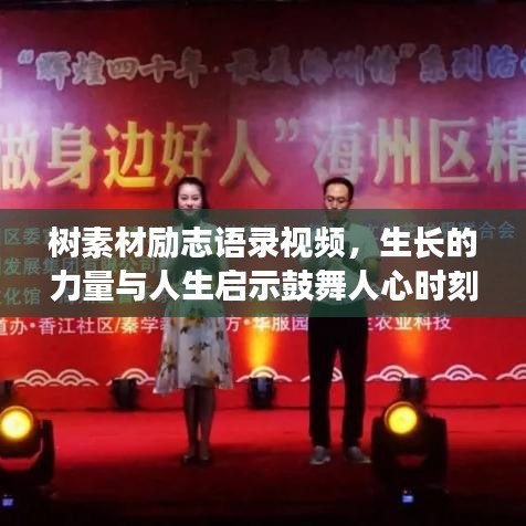 树素材励志语录视频，生长的力量与人生启示鼓舞人心时刻