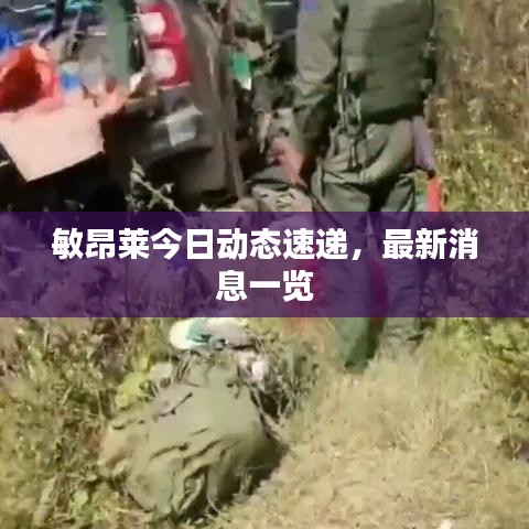 敏昂莱今日动态速递，最新消息一览