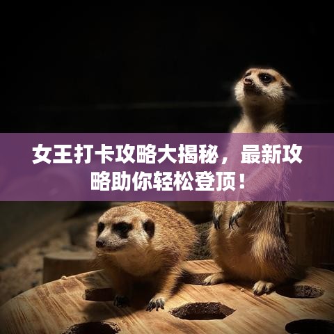 女王打卡攻略大揭秘，最新攻略助你轻松登顶！