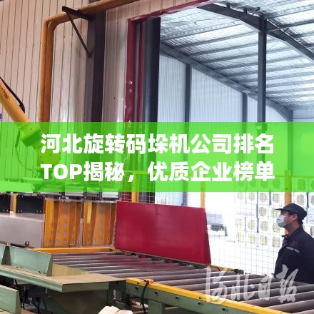 河北旋转码垛机公司排名TOP揭秘，优质企业榜单不容错过！