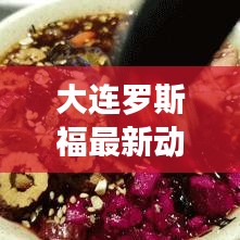 大连罗斯福最新动态更新！