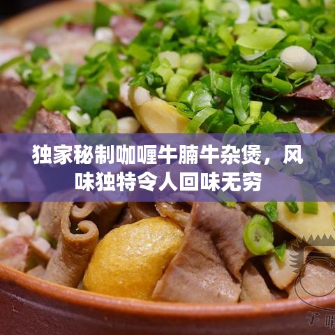独家秘制咖喱牛腩牛杂煲，风味独特令人回味无穷