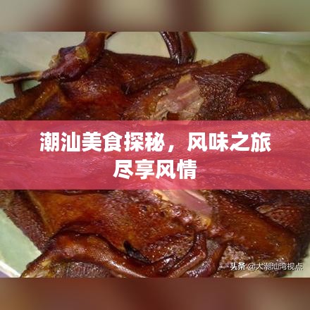 潮汕美食探秘，风味之旅尽享风情