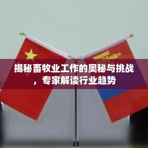 揭秘畜牧业工作的奥秘与挑战，专家解读行业趋势